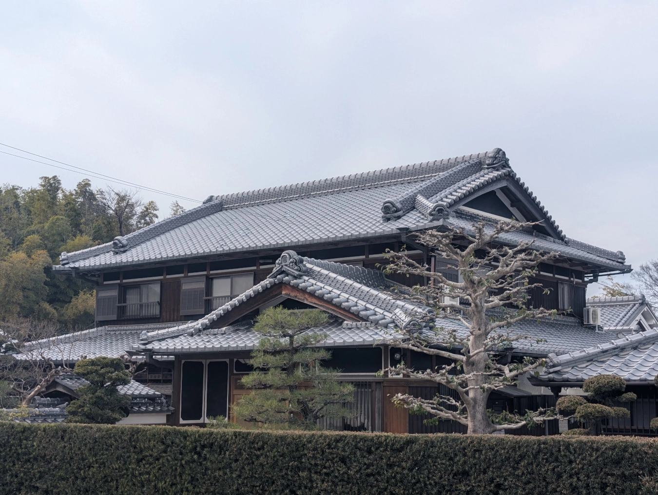 PXL_20250313_045921938_八幡 一般 和瓦